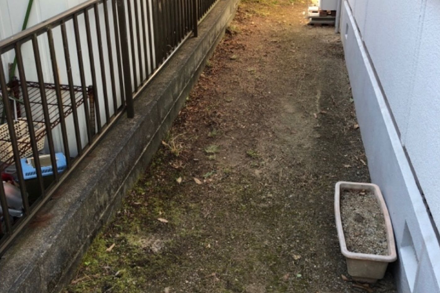 大阪府 伐採 施工後