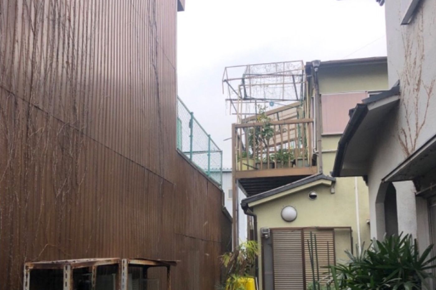 兵庫県神戸市 伐採 施工後