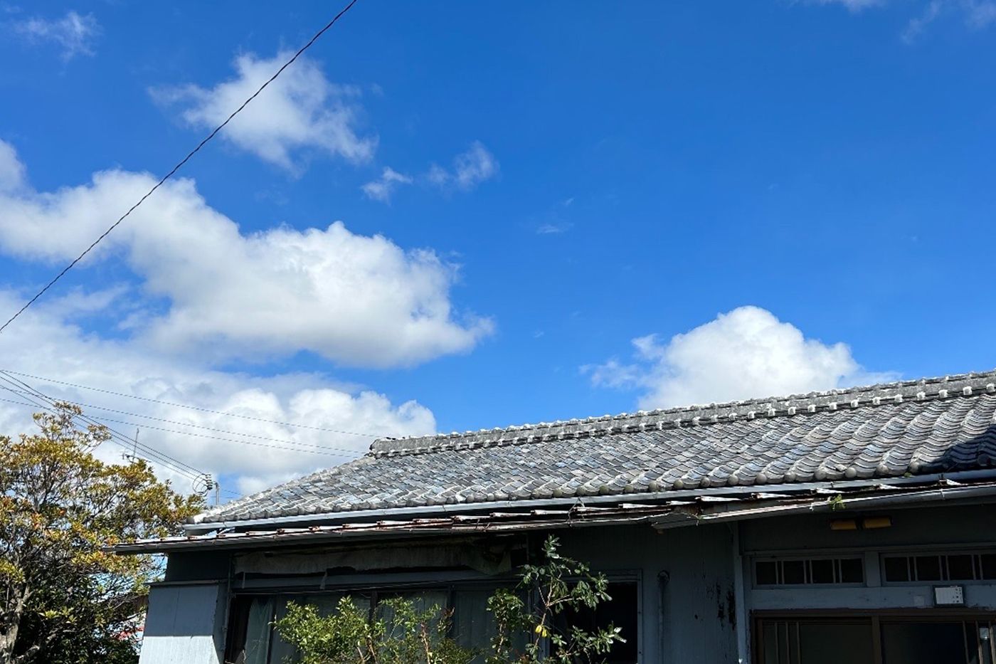 和歌山県 伐採 施工後
