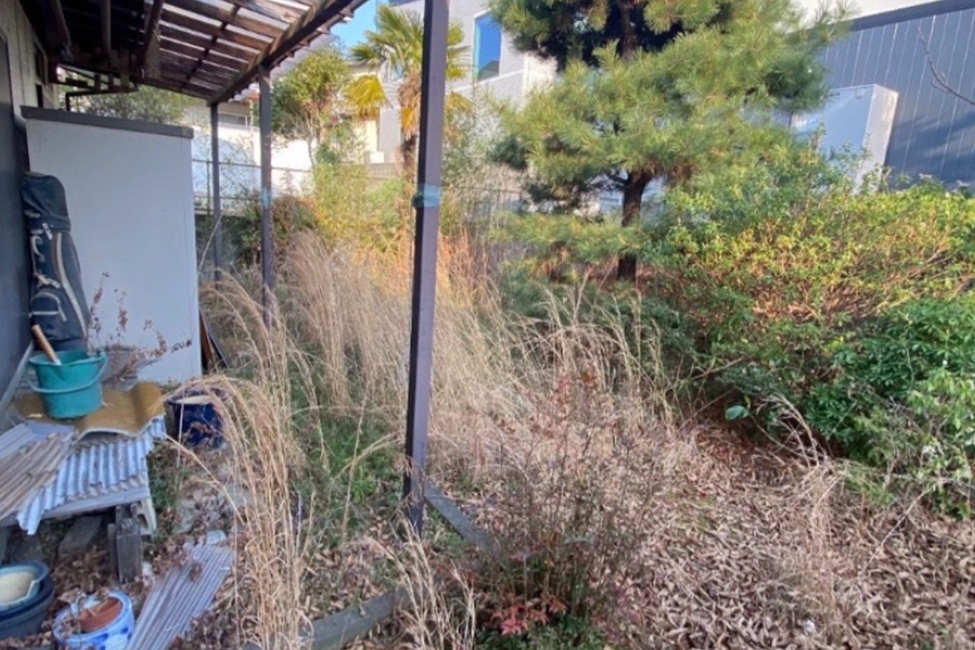 奈良県生駒市 伐採 施工前