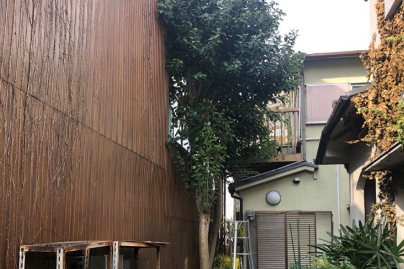 兵庫県神戸市 伐採 施工前