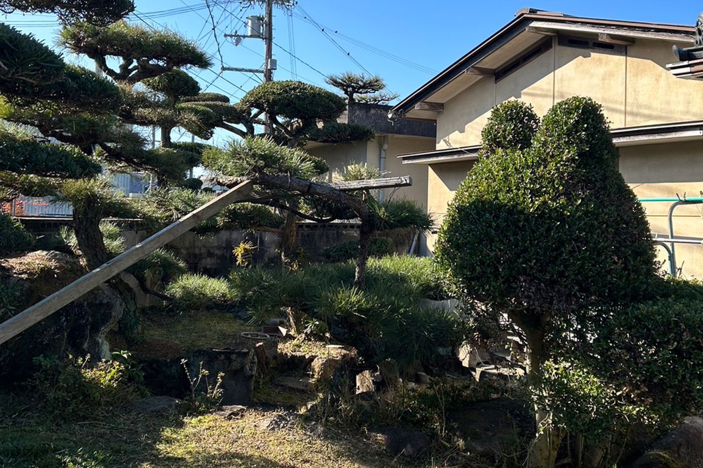 和歌山県和歌山市 剪定 施工後