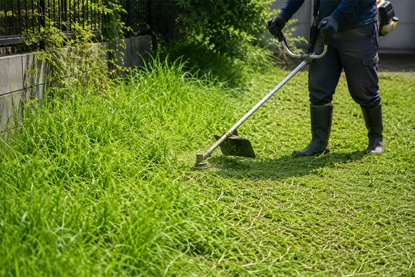 草刈り作業の様子