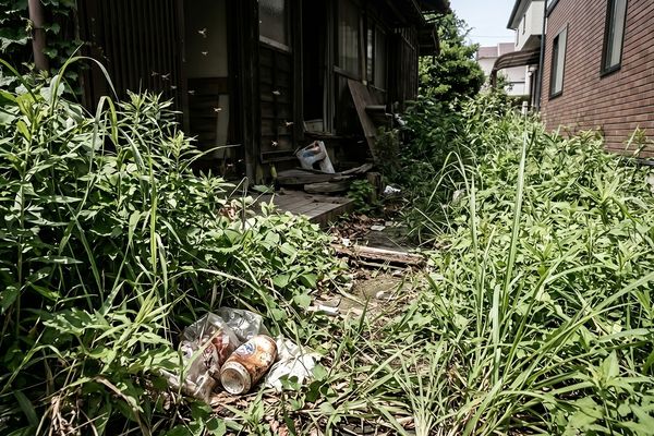 庭木や雑草が伸びすぎている