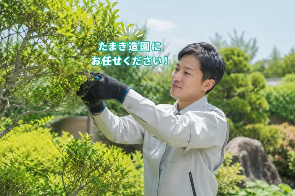 剪定している男性スタッフ